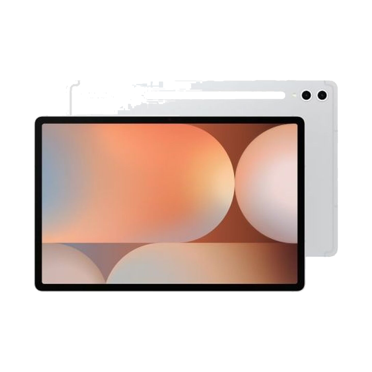 Samsung F-MX820NZSRBGS 8-Core 12GB RAM 256GB Silver 12.4" Tablet
